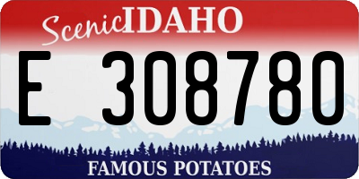 ID license plate E308780