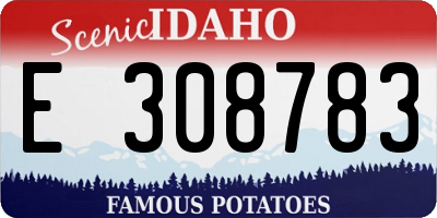 ID license plate E308783