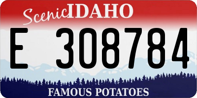 ID license plate E308784