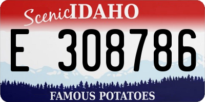 ID license plate E308786