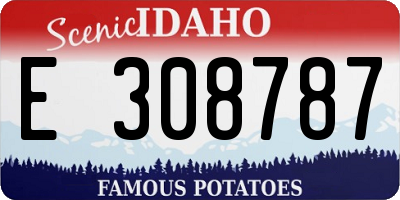 ID license plate E308787