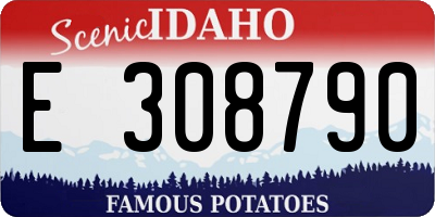 ID license plate E308790