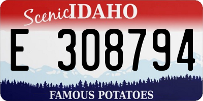 ID license plate E308794
