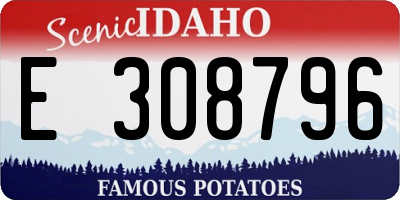 ID license plate E308796