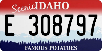 ID license plate E308797