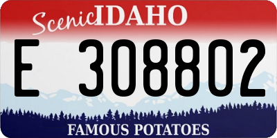ID license plate E308802