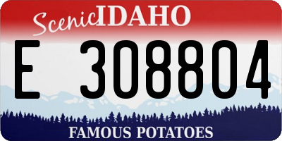 ID license plate E308804