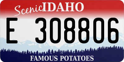 ID license plate E308806