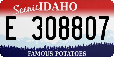 ID license plate E308807