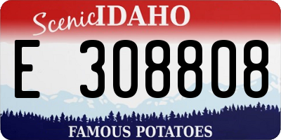 ID license plate E308808