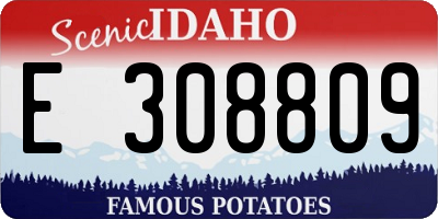 ID license plate E308809