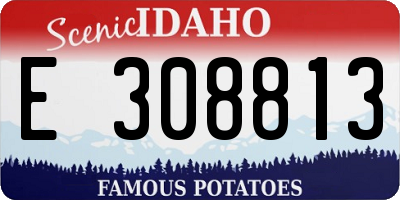 ID license plate E308813
