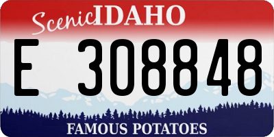 ID license plate E308848