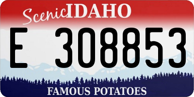 ID license plate E308853
