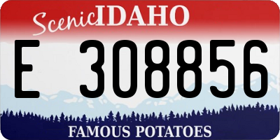 ID license plate E308856