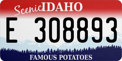 ID license plate E308893
