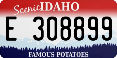 ID license plate E308899