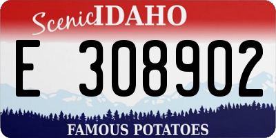 ID license plate E308902