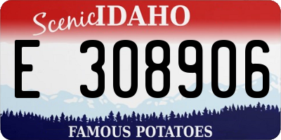 ID license plate E308906