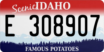 ID license plate E308907