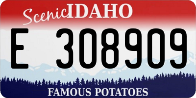 ID license plate E308909