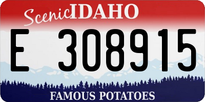 ID license plate E308915