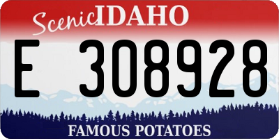 ID license plate E308928