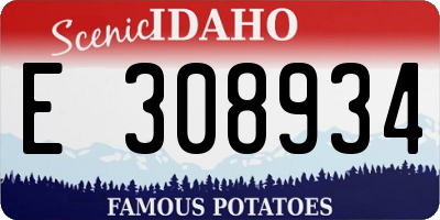 ID license plate E308934