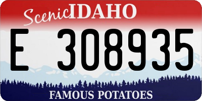 ID license plate E308935