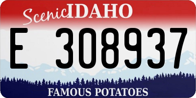 ID license plate E308937