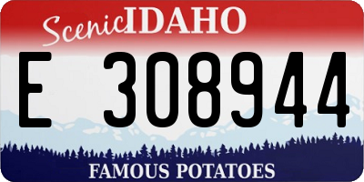 ID license plate E308944