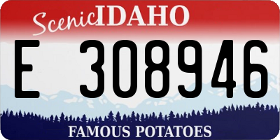 ID license plate E308946