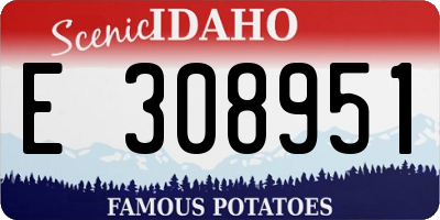 ID license plate E308951