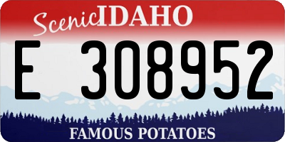 ID license plate E308952