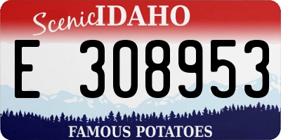 ID license plate E308953