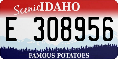 ID license plate E308956
