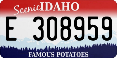 ID license plate E308959