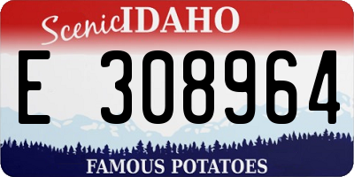 ID license plate E308964
