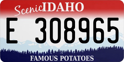 ID license plate E308965