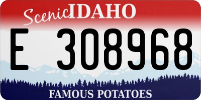 ID license plate E308968