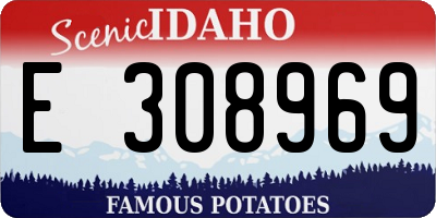ID license plate E308969