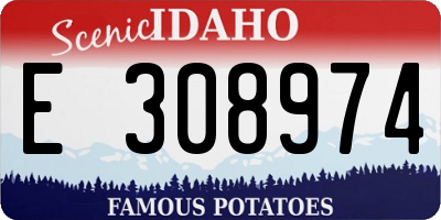 ID license plate E308974