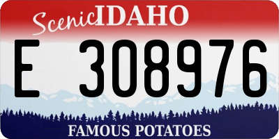 ID license plate E308976