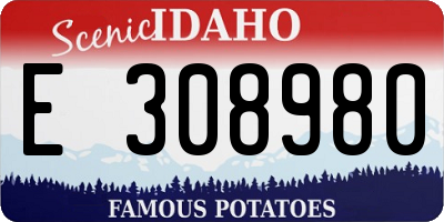ID license plate E308980