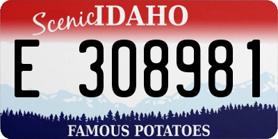 ID license plate E308981