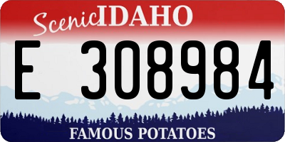 ID license plate E308984
