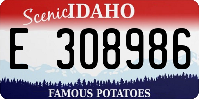 ID license plate E308986