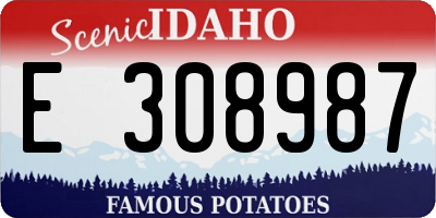 ID license plate E308987