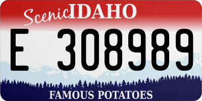 ID license plate E308989
