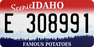 ID license plate E308991